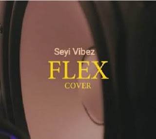 Seyi Vibez – Flex (Cover)