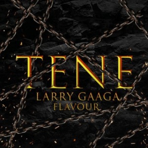 Larry Gaagaft. Flavour – Tene