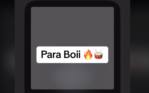 DJ Cora – Para Boi (Ish Ish Ish)