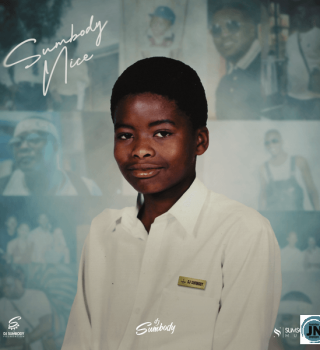 DJ Sumbody – Would You Love