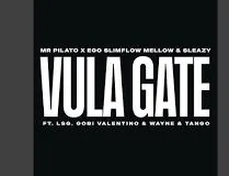 Mr Pilato – Vula Gate Ft. Ego Slimflow, Mellow & Sleazy, LSG, Gobi Valentino, Wayne & Tango
