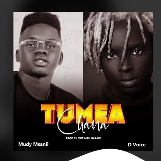 Mudy Msanii – Tumeachana Ft. D voice