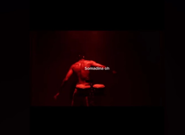 Serotonin – Somadina