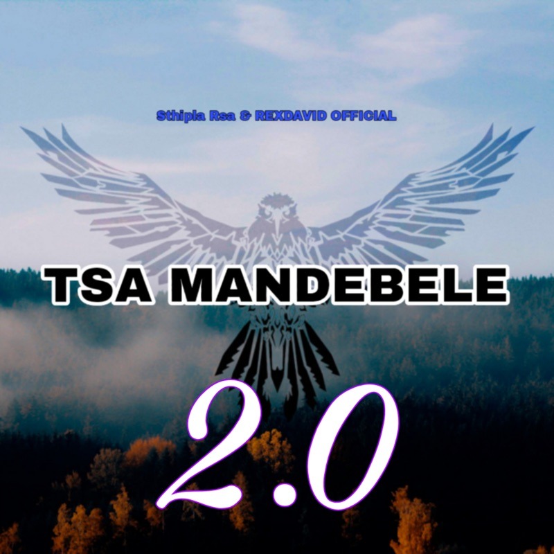 Sthipla rsa – Tsa Mandebele 2.0 Ft RexDavid Official