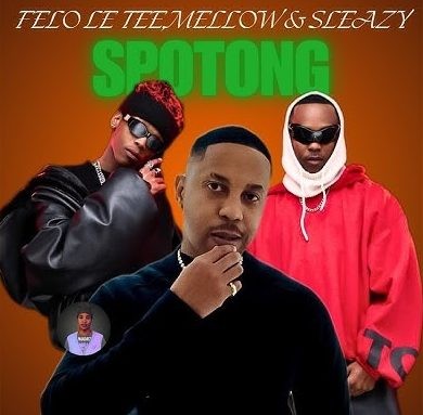 Felo Le Tee - Spotong ft. Mellow & Sleazy