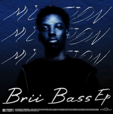 M00tion – Brii Bass EP (Album)