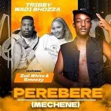 Tribby Wadi Bhozza – Perebere (Mechene) ft. Zoli White Smoke & SmeezyOn The Beat