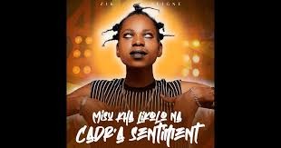 Zik seigne - Misu Kaka Likolo Na Cadre Ya Sentiment