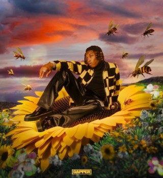 Rybeena – Mr Bee Album