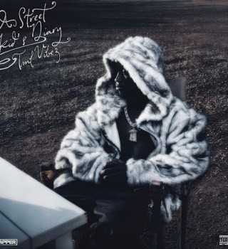 Tml Vibez – A Street Kid's Diary Album