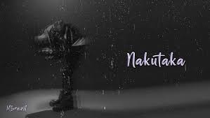 Mbrazil – NAKUTAKA