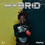 Shoday – HYBRID (Album)
