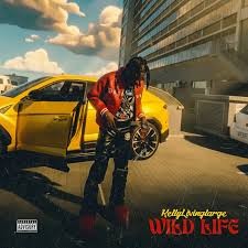 Kellylivinglarge – Wild Life
