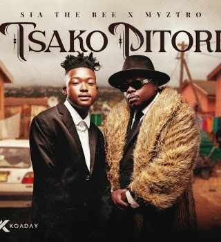 Myztro – Wadi wave from Ghana ft Sia_TheBee, ShaunMusiq, BigBaller_Ceo & Dimphowadiwave