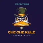 Dj Shaolin Temple – CHE CHE KULE CRUISE BEAT
