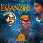 Mshudu – Emanzini ft Darkface & Kaynote