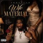 Emmyblaqcfr - Wife Material