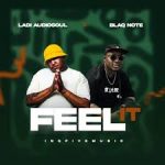 Ladi Adiosoul – FEEL IT Ft Blaq Note