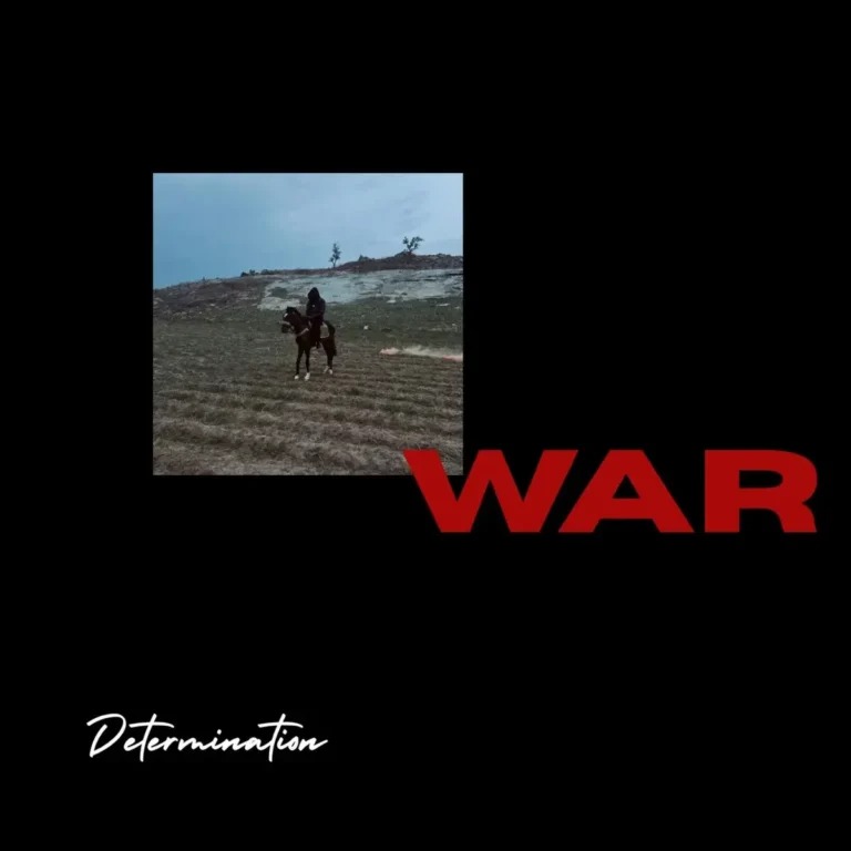 Determination - WAR