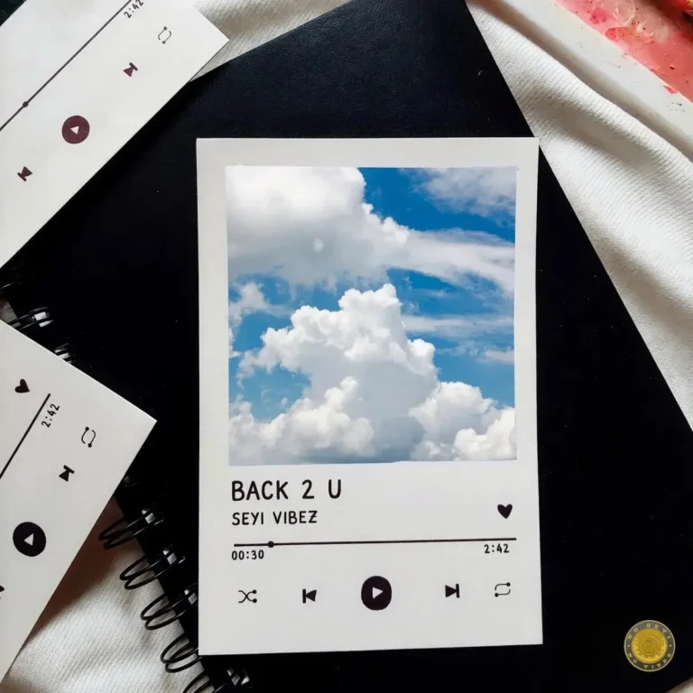 Seyi Vibez - BACK 2 U