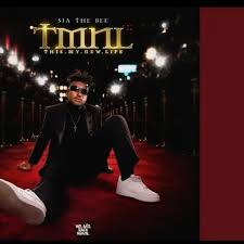 Sia_TheBee – Wai Nyaka Ft. Fleece BigBaller_Ceo & Dimphowadiwave, John Mac & Papepa