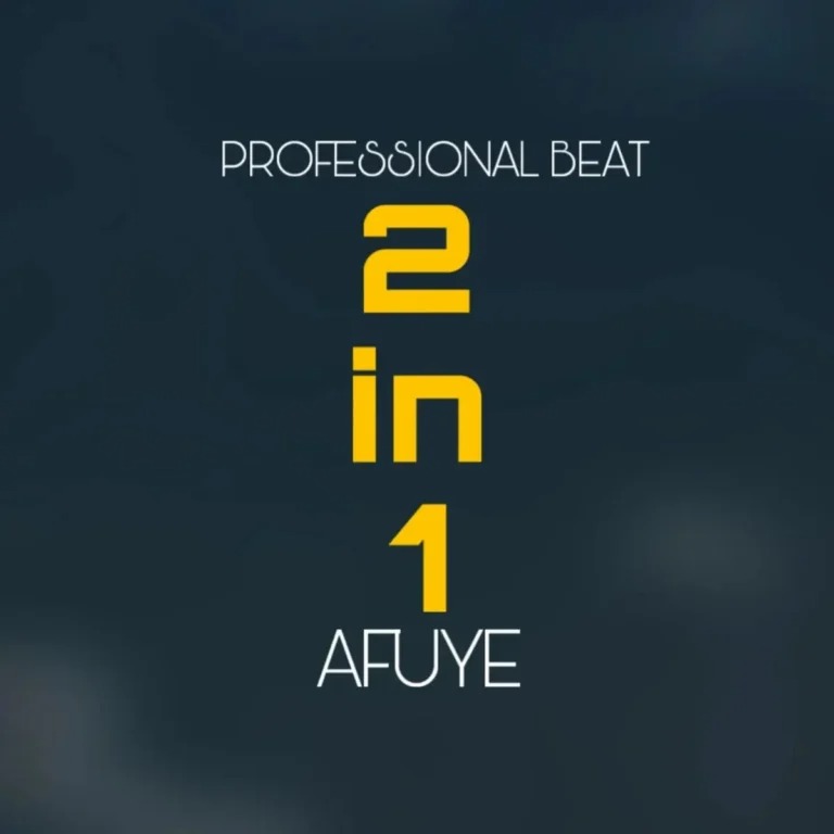 Professional Beat - Afuye 2 in 1